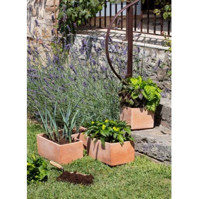 Vasi in terracotta rettangolari Cassetta Moderne 60 cm