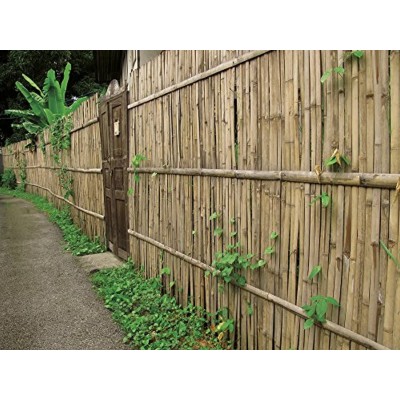 VERDELOOK Arella Beach in cannette di Bamboo 1,5x3m, per recinzioni e Decorazioni1,5